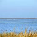 Coto de doÃ±ana